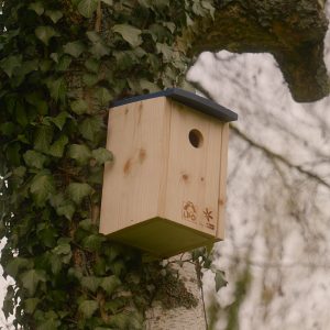 Le nichoir à mésanges